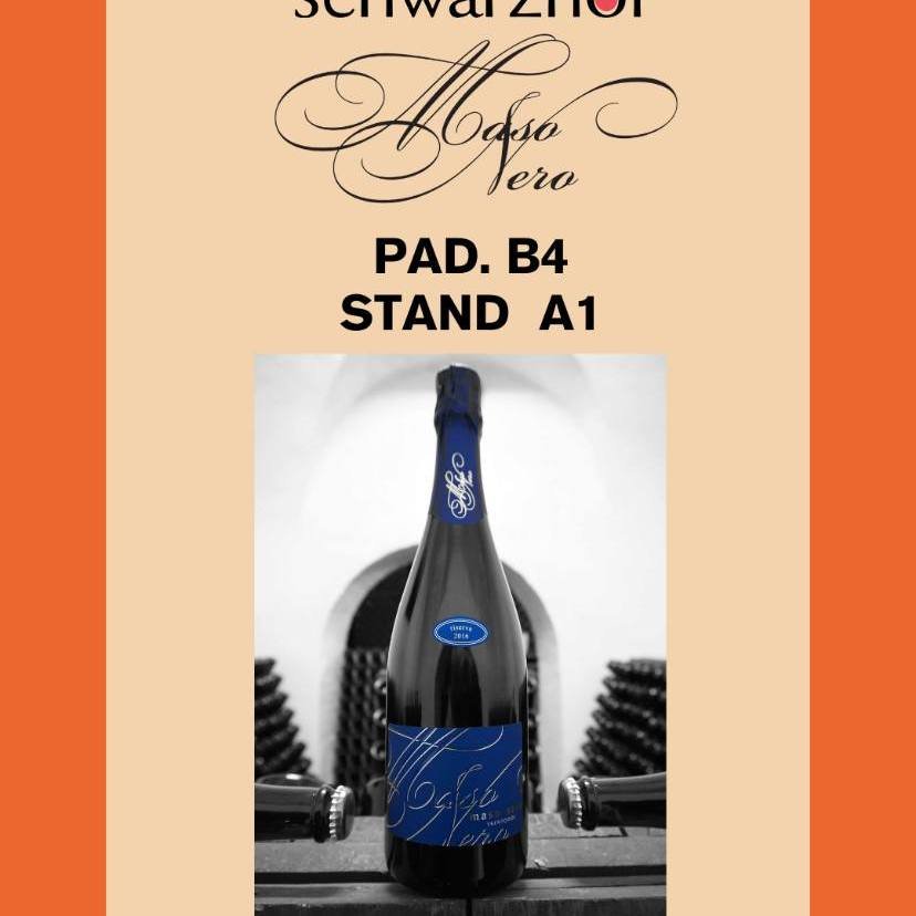 🕙 2-3- 4  Febbraio 2026 Hospitality Riva del Garda

👉 Ottima occasione per ritrovarci insieme ai  Vignaioli del Trentino nel padiglione B4 con vignaioli indipendenti dall&rsquo;Alto Adige &ndash; S&uuml;dtirol, Veneto, Lombardia, Emilia Romagna e a