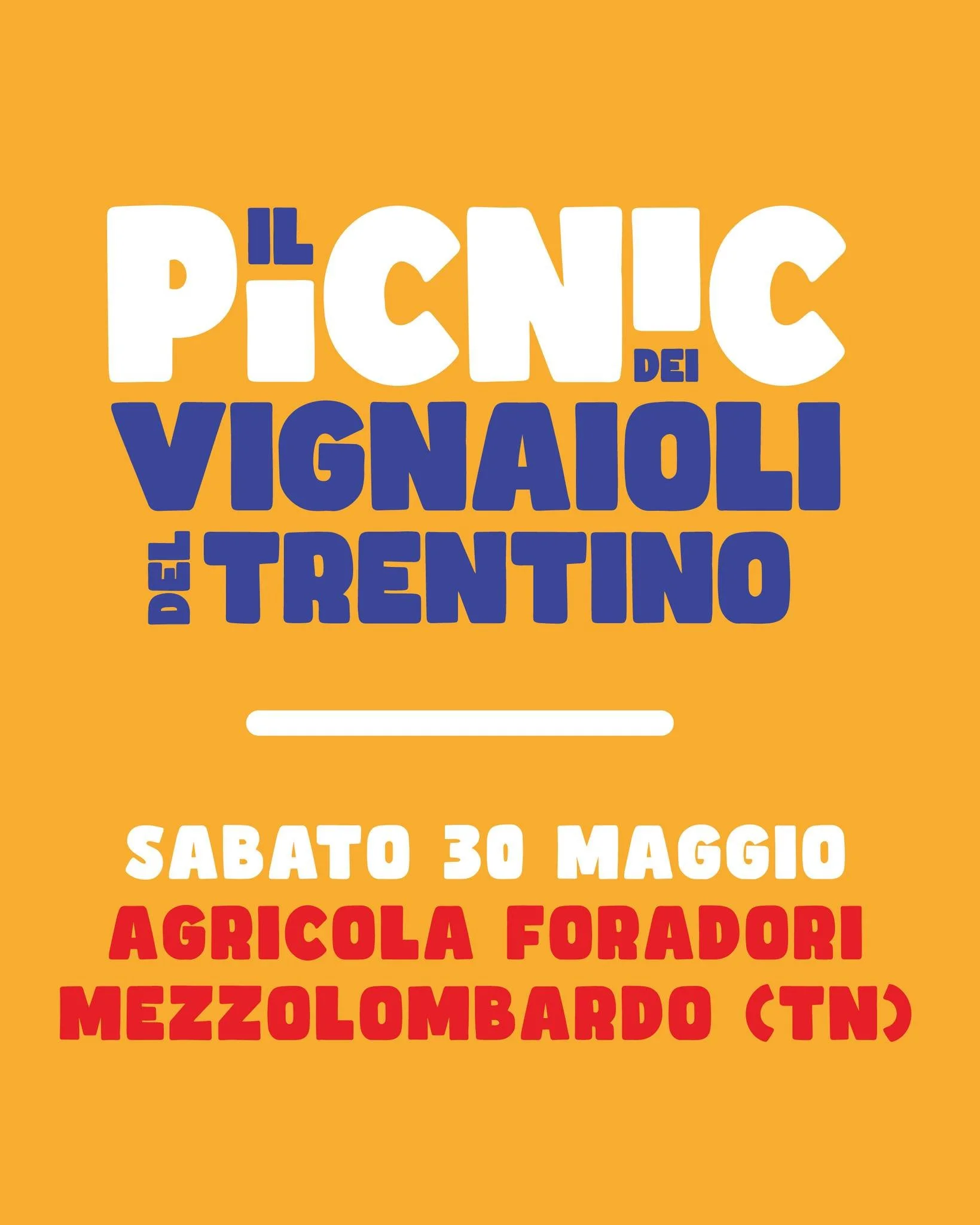 Idee per sabato 30 maggio? Vi segnaliamo l'evento annuale dei vignaioli del Trentino!!!! 

Sdraiati tra le viti, in mezzo alla natura e rilassati.
Ti aspettano musica, animazione, buon vino, cibo e tanta compagnia! 

Vieni a trascorrere una giornata 