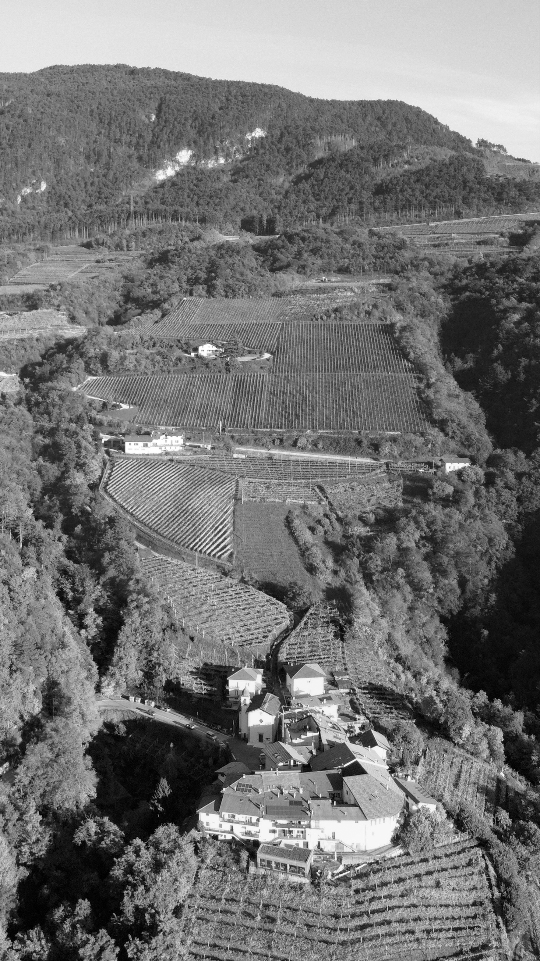 Paesaggio montano con vigneti terrazzati, case e boschi, in bianco e nero.
