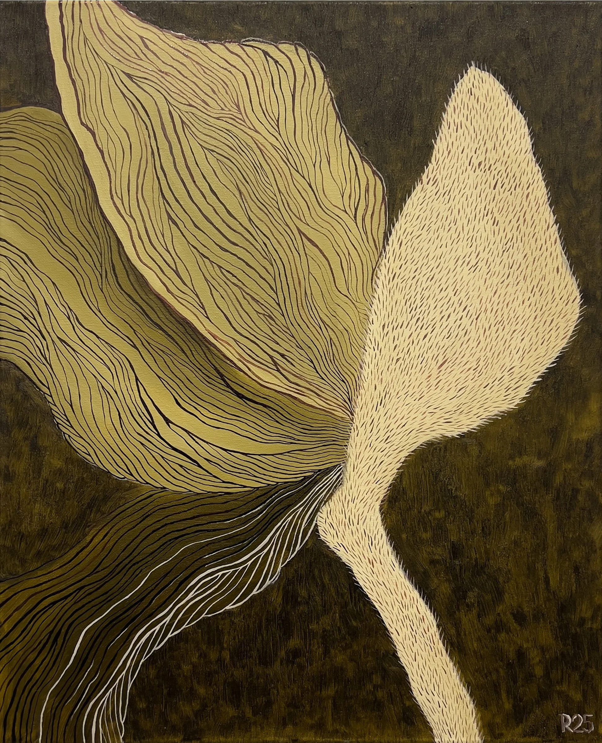 PVT48, Coquelicot militaire, 2025, huile sur toile, 70 × 50 cm