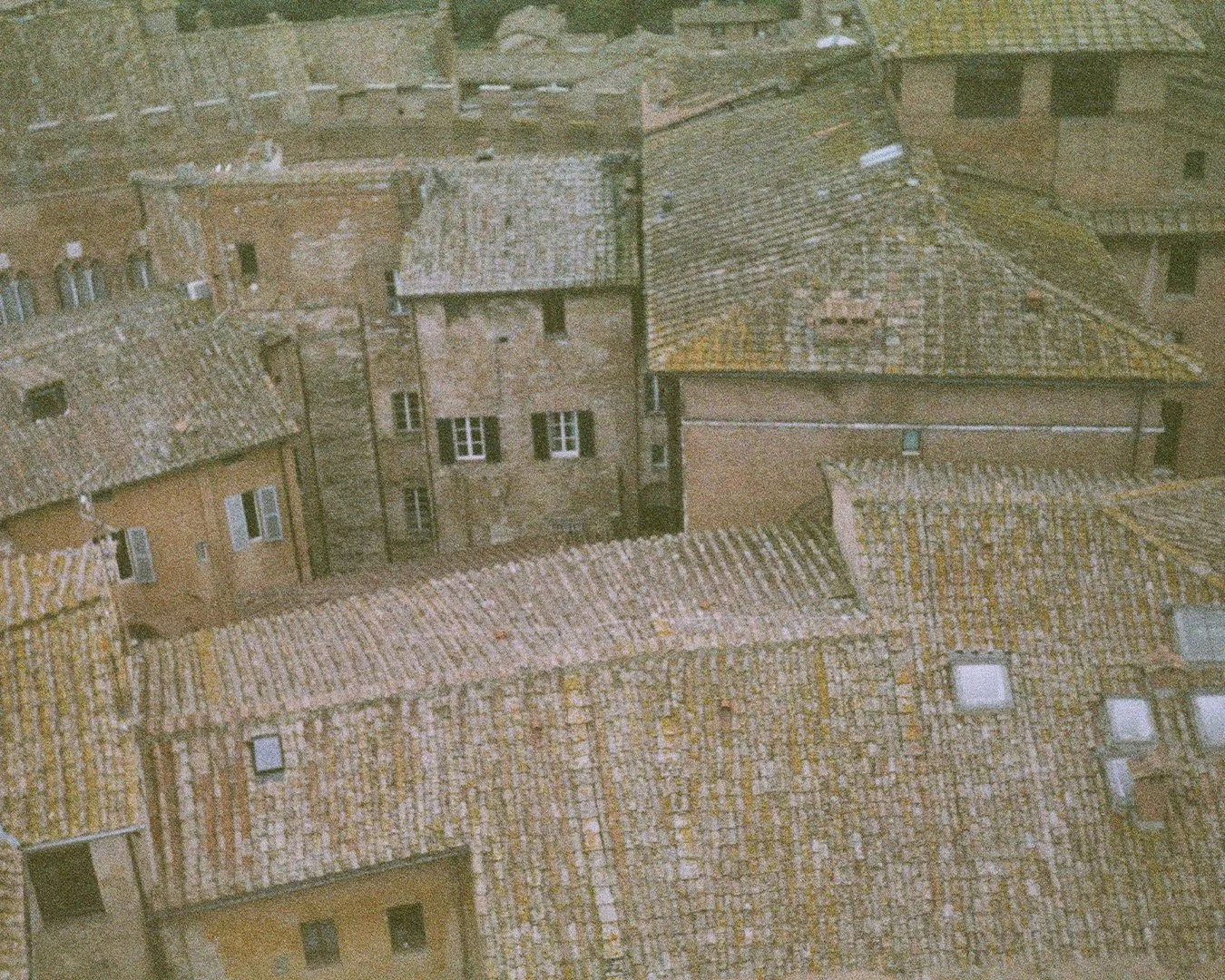 P017, Burnt Sienna, 2022, tirage argentique, édition de 4, 30 × 42 cm