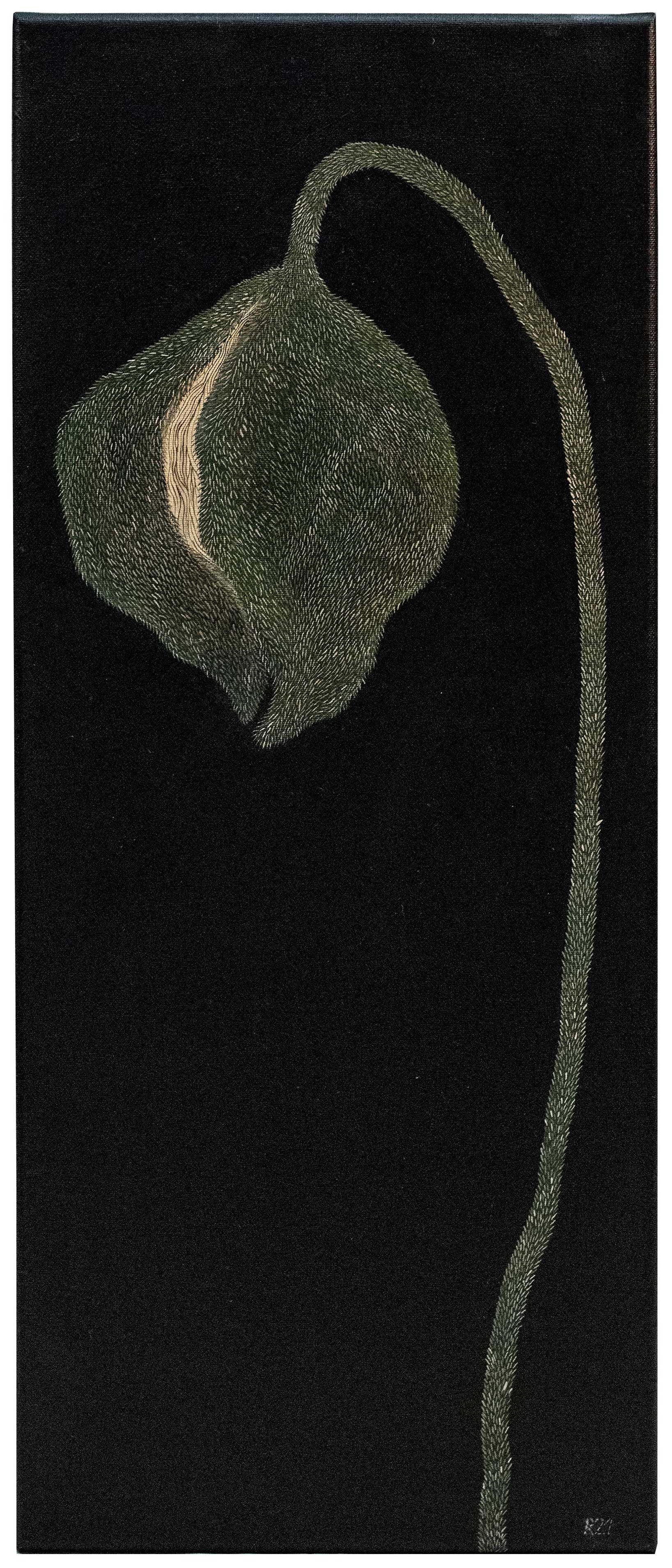 PVT10, Pavot vert bouton ouvert sur fond noir, 2021, huile sur toile, 70 × 30 cm // 27,5 × 11,8 in