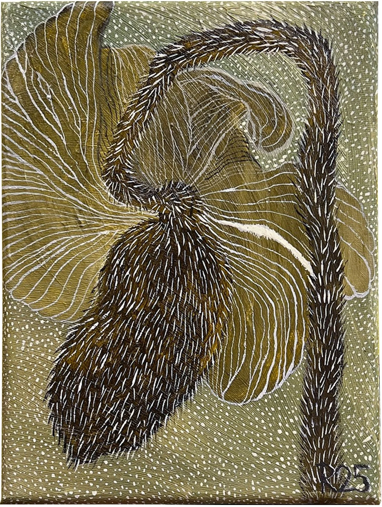 PVT50, Coquelicot vert sous la neige, 2025, huile sur toile, 24 × 18 cm