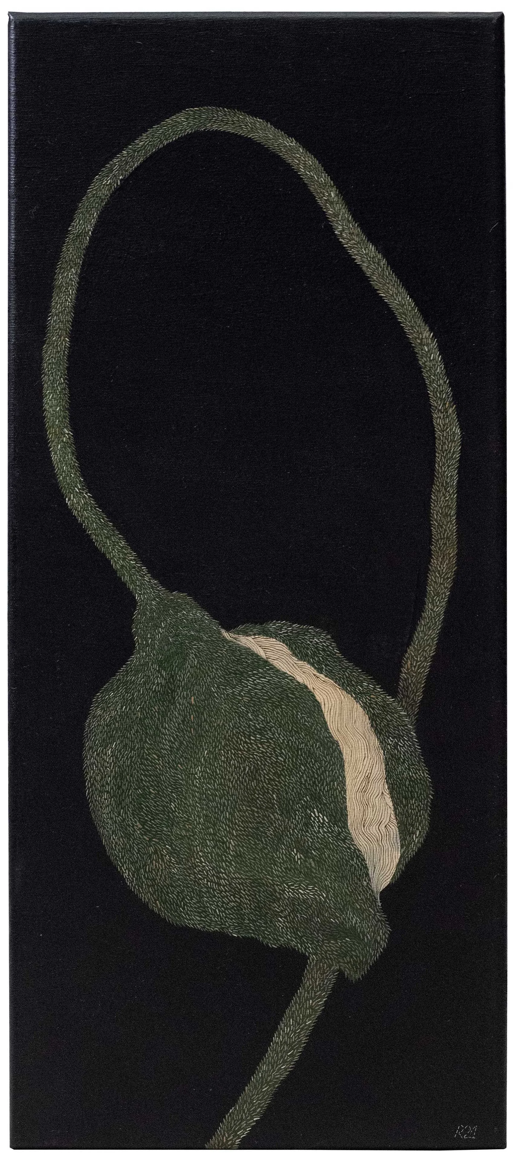 PVT09, Pavot vert courbé, 2021, huile sur toile, 70 × 30 cm // 27,5 × 11,8 in