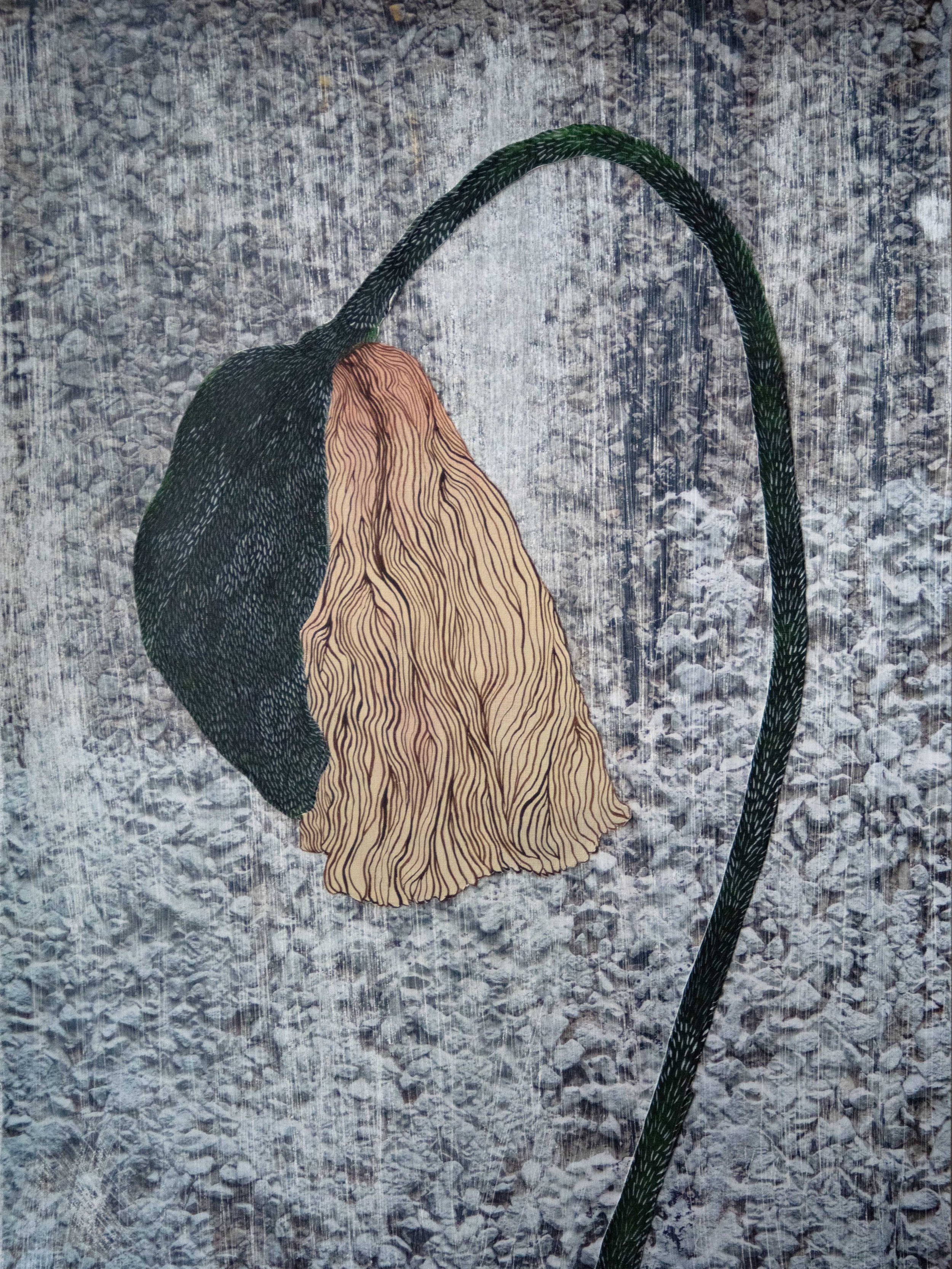 PVT15 - ROSE PALE POPPY ON GREY GROUND
COLLAGE ( C PRINT+ ACRYLIC ON PAPER) 42X30 CM // 16,5X11,8 IN