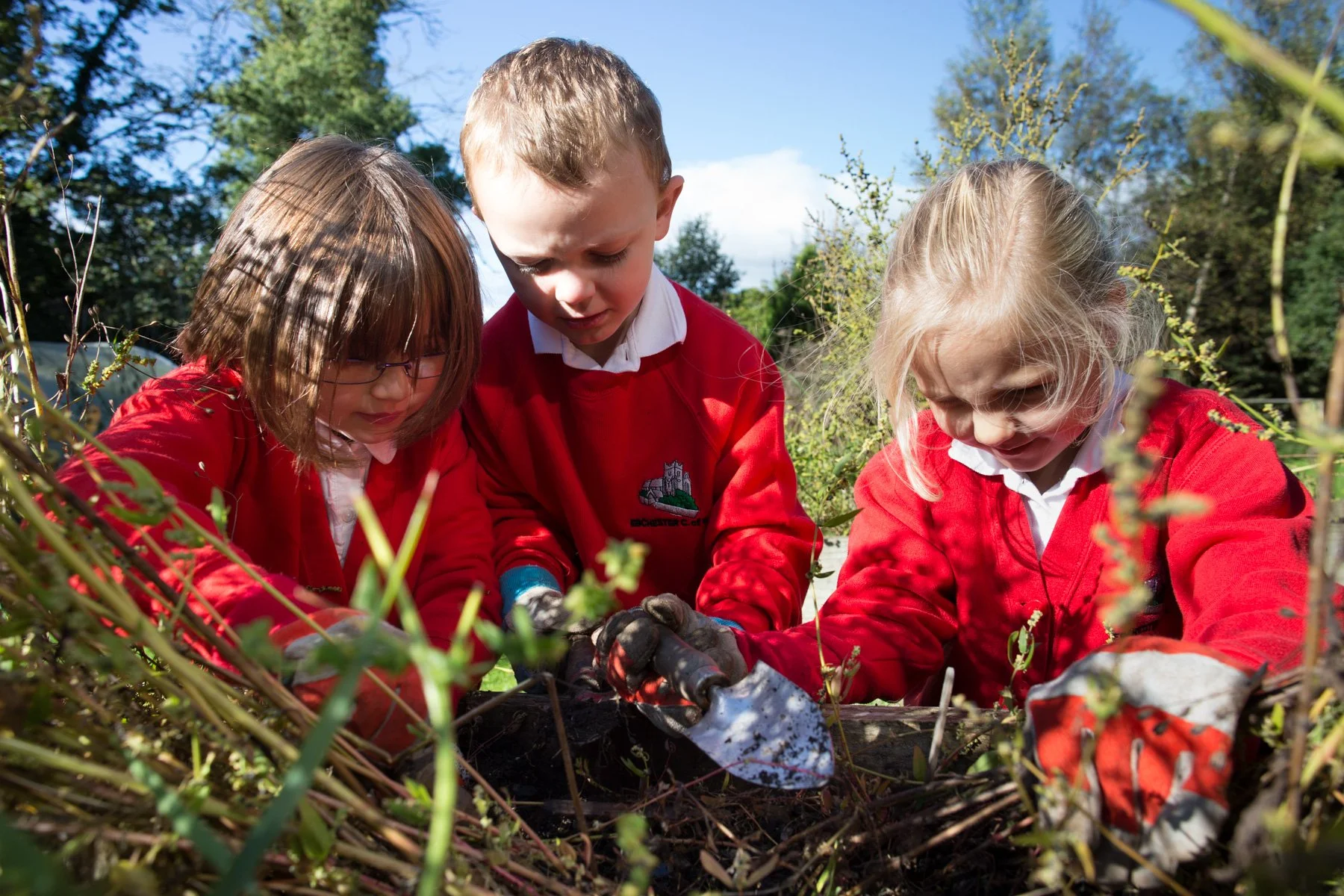 Excellence in Reception Teaching course applications are open!