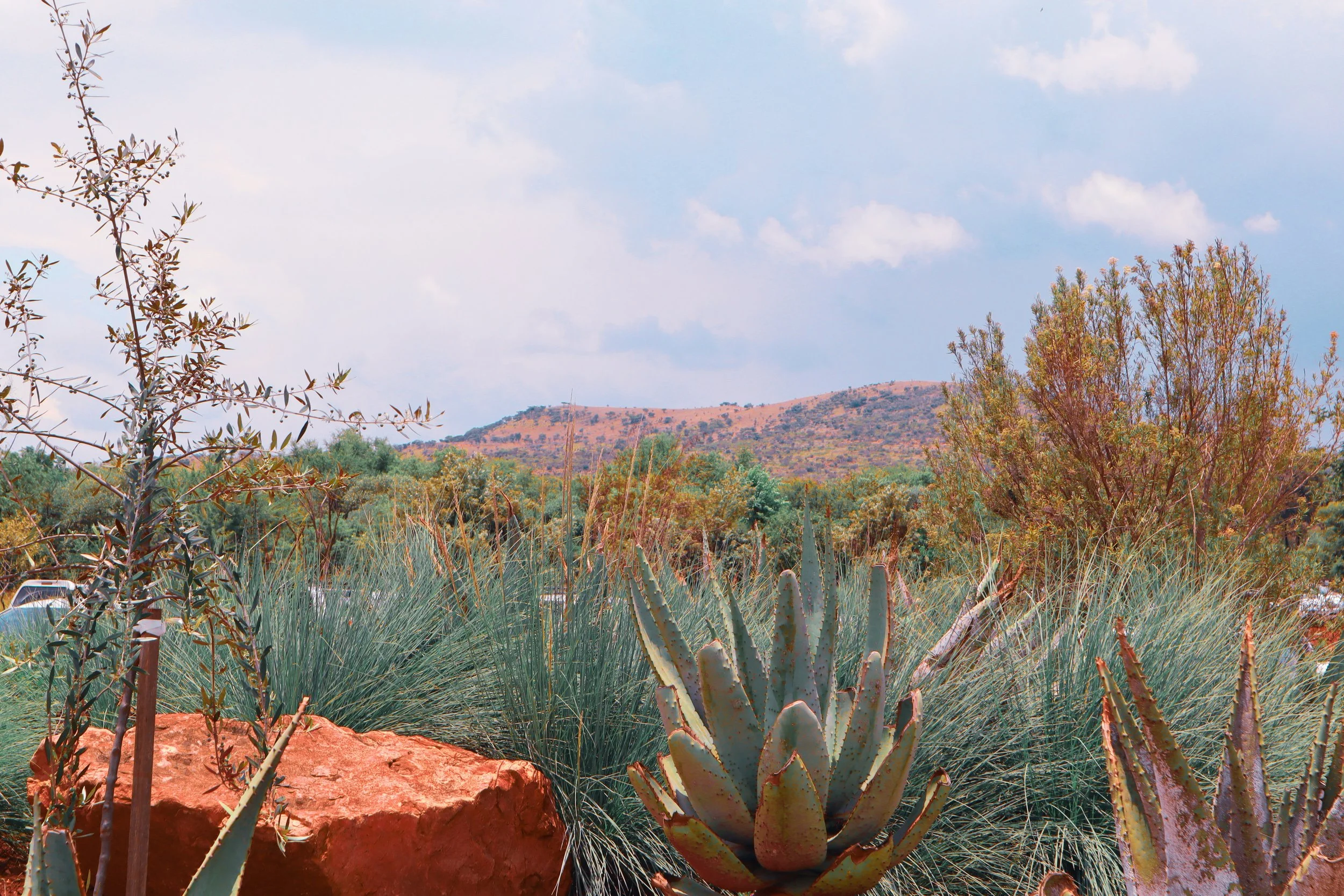 Improving representation of African ecosystems in land surface models