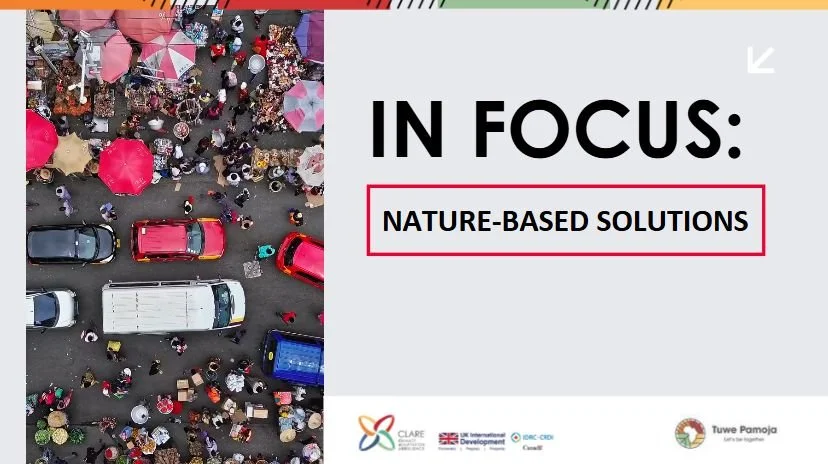 Nature-based Solutions (NbS) in African urban cities