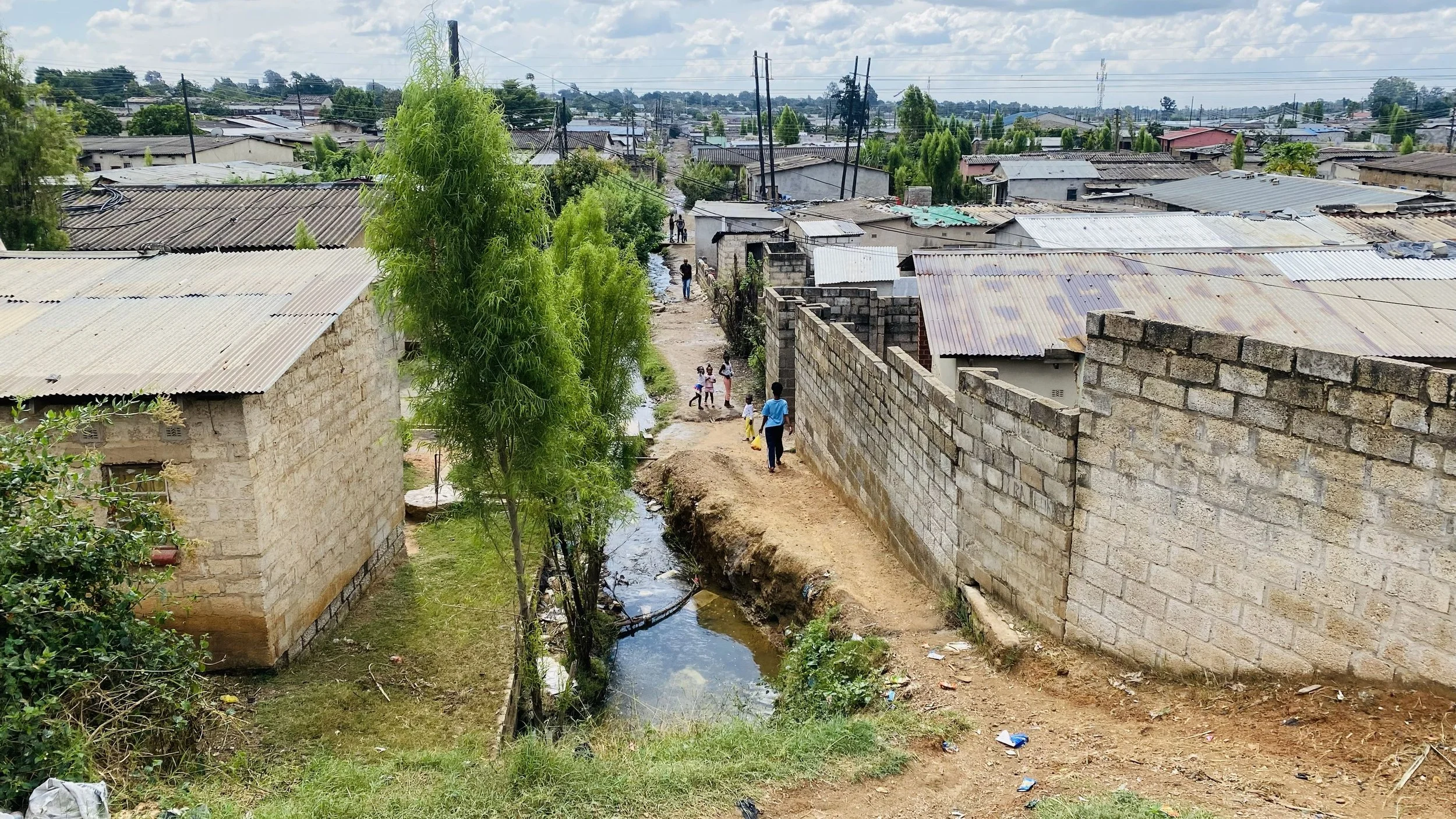 Nature-based Solutions (NbS) in African urban cities