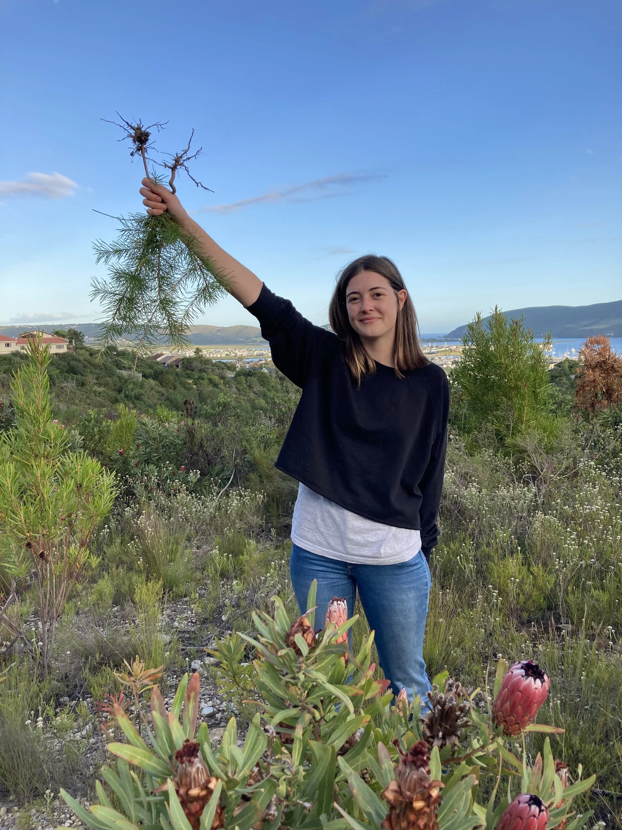 Investigating a ‘new normal’ fire season in the southwestern Cape