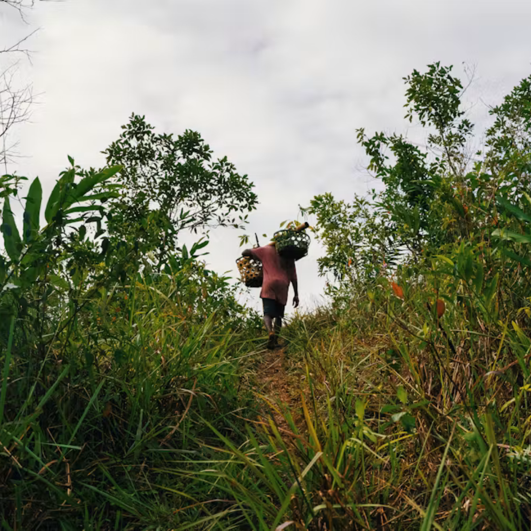 Africa’s climate services need local detail and knowledge, say people who use the information