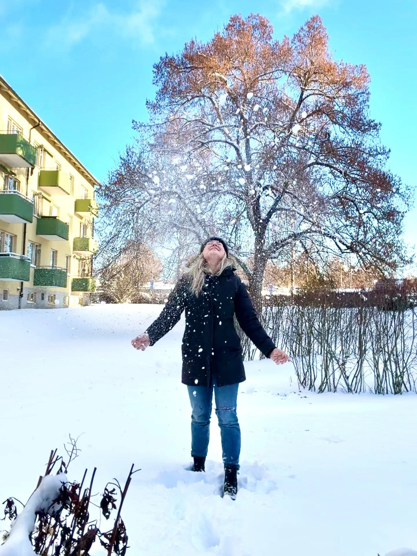 Njuter av ljuset och sn&ouml;n s&aring; l&auml;nge vi f&aring;r ha det ❄️