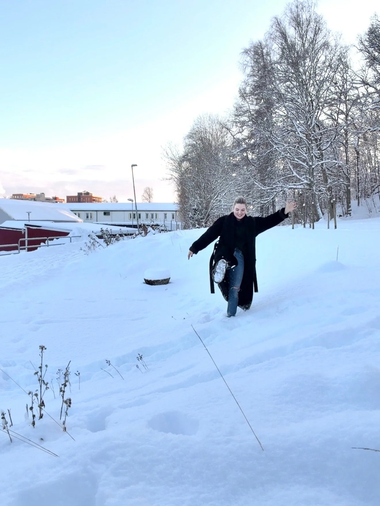 En vinterdr&ouml;m ❄️