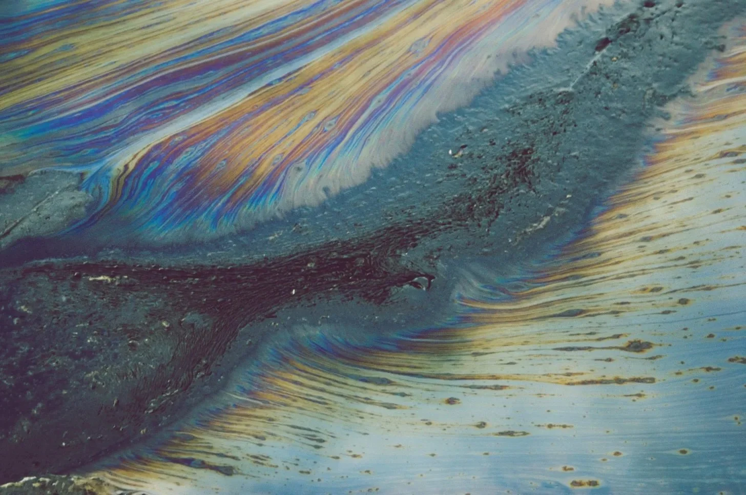 Fossil fuel billionaires are bankrolling the anti-trans movement