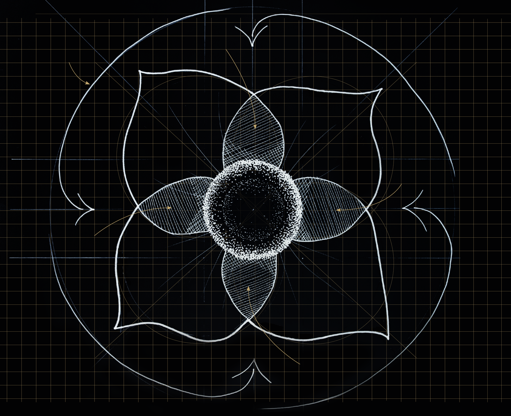 Impact Congruence Framework diagram
