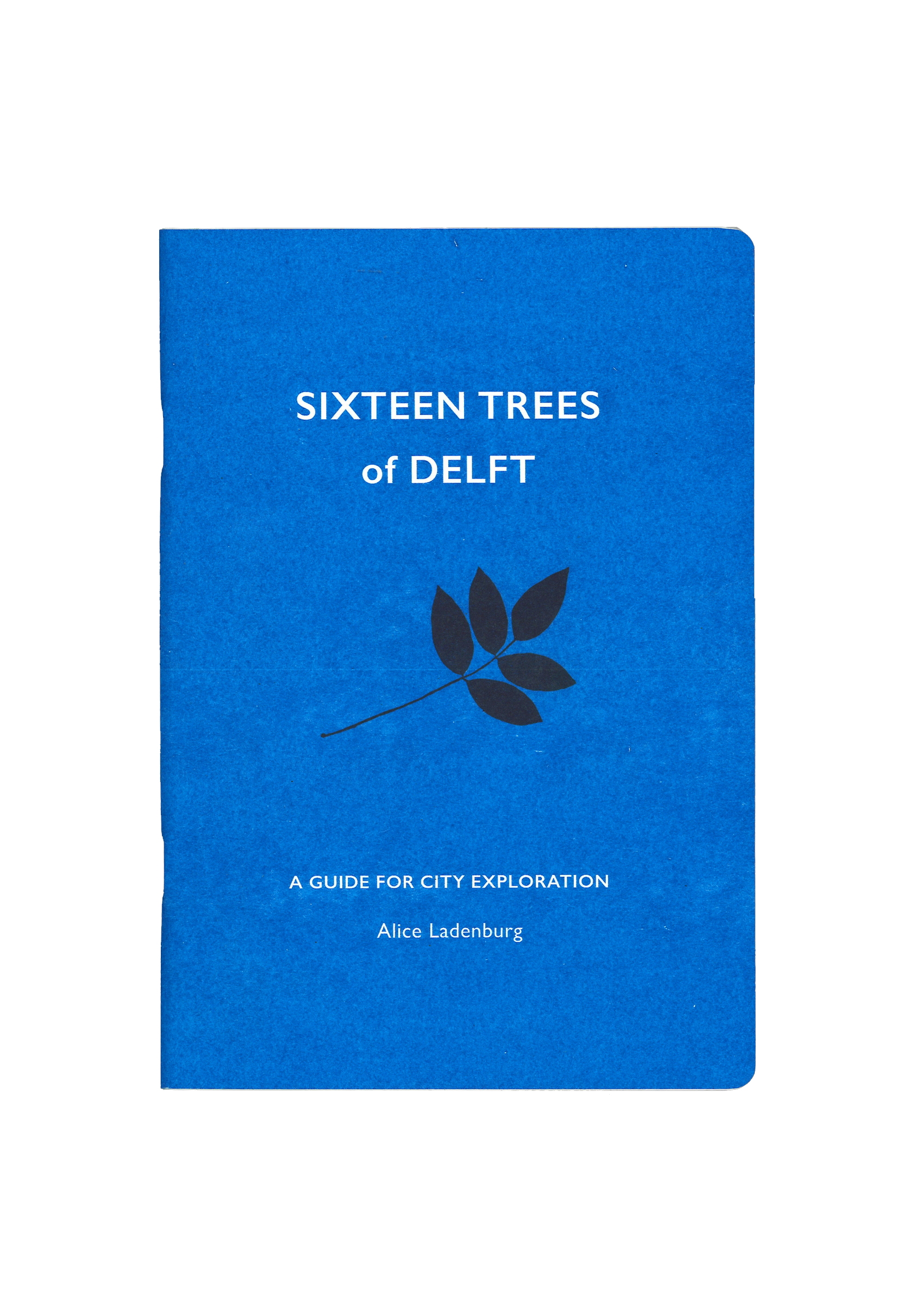 Sixteen Trees of Delft by Alice Ladenburg. © RADIUS CCA, Delft.