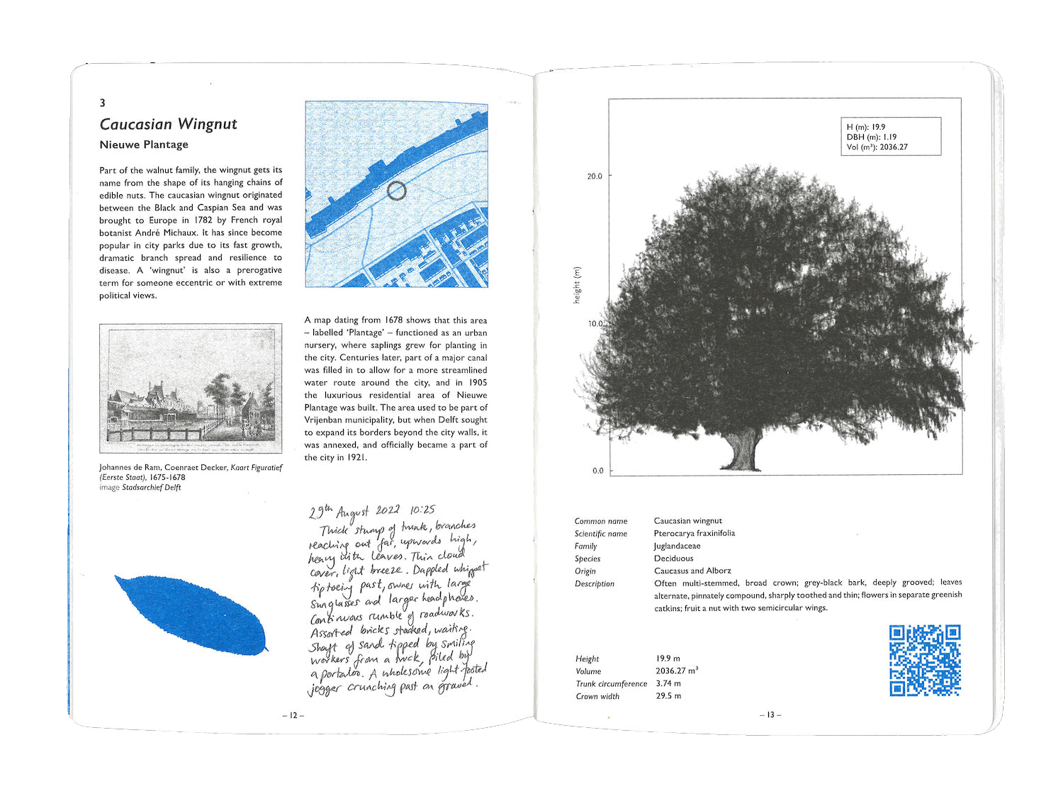Sixteen Trees of Delft by Alice Ladenburg. © RADIUS CCA, Delft.