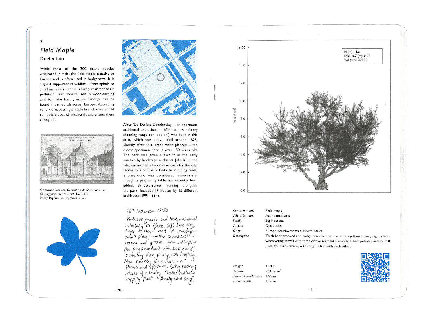 Sixteen Trees of Delft by Alice Ladenburg. © RADIUS CCA, Delft.