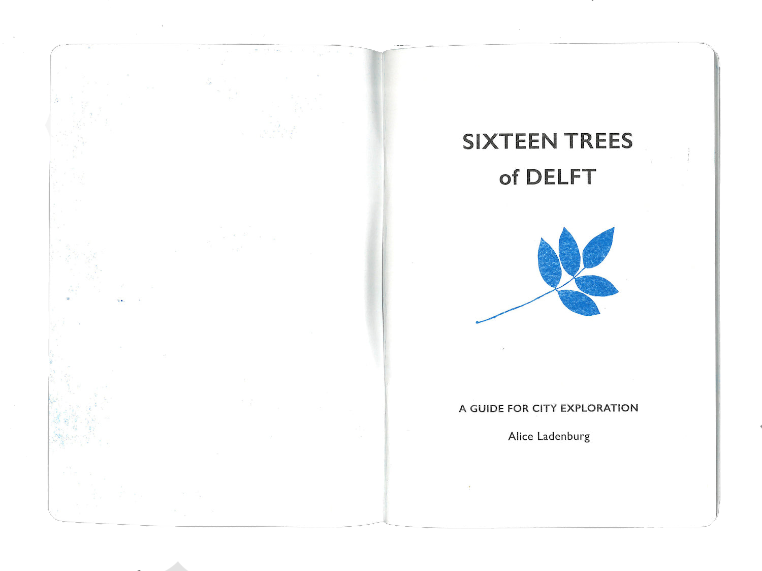 Sixteen Trees of Delft by Alice Ladenburg. © RADIUS CCA, Delft.