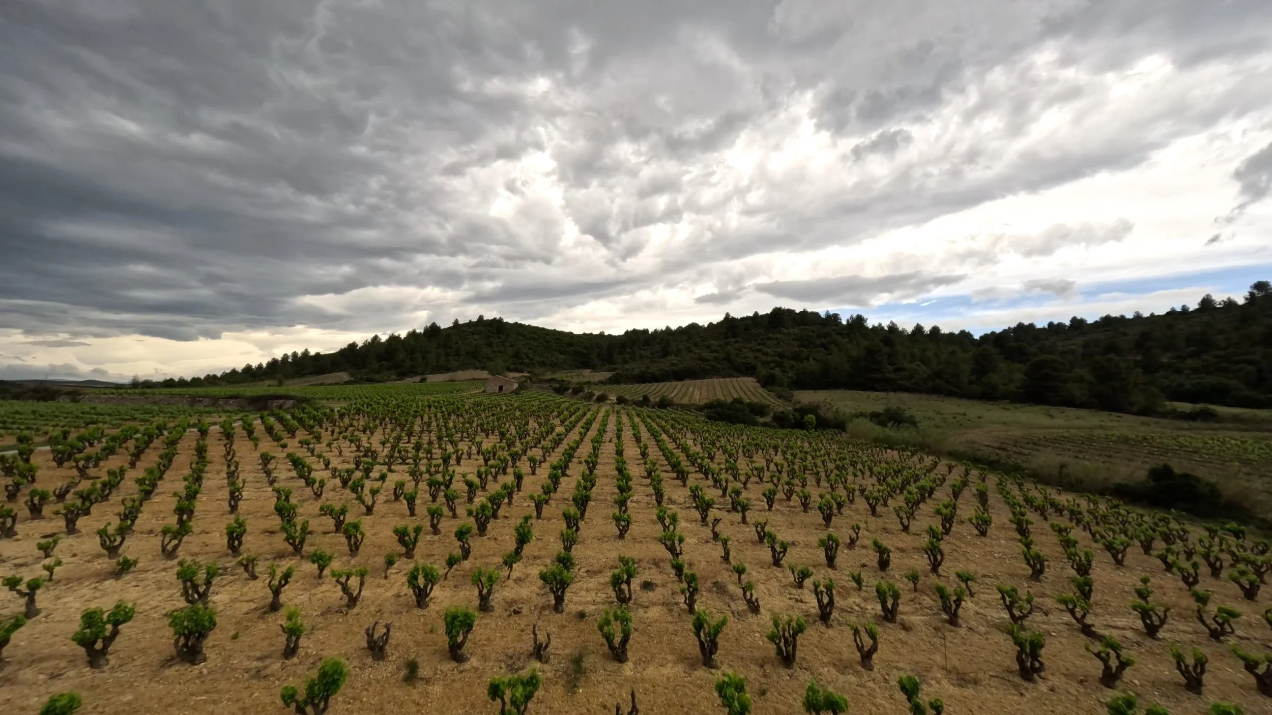 Showreel drone fpv Audran Motte. Je vous propose montage cinématique fpv de lieux insolites. Collioure, Toulouse, communes du lot, Montpellier. et montagnes des Pyrénées Chaque lieu à son histoire à raconter. Télépilote drone fpv Montpelier Audran Mo