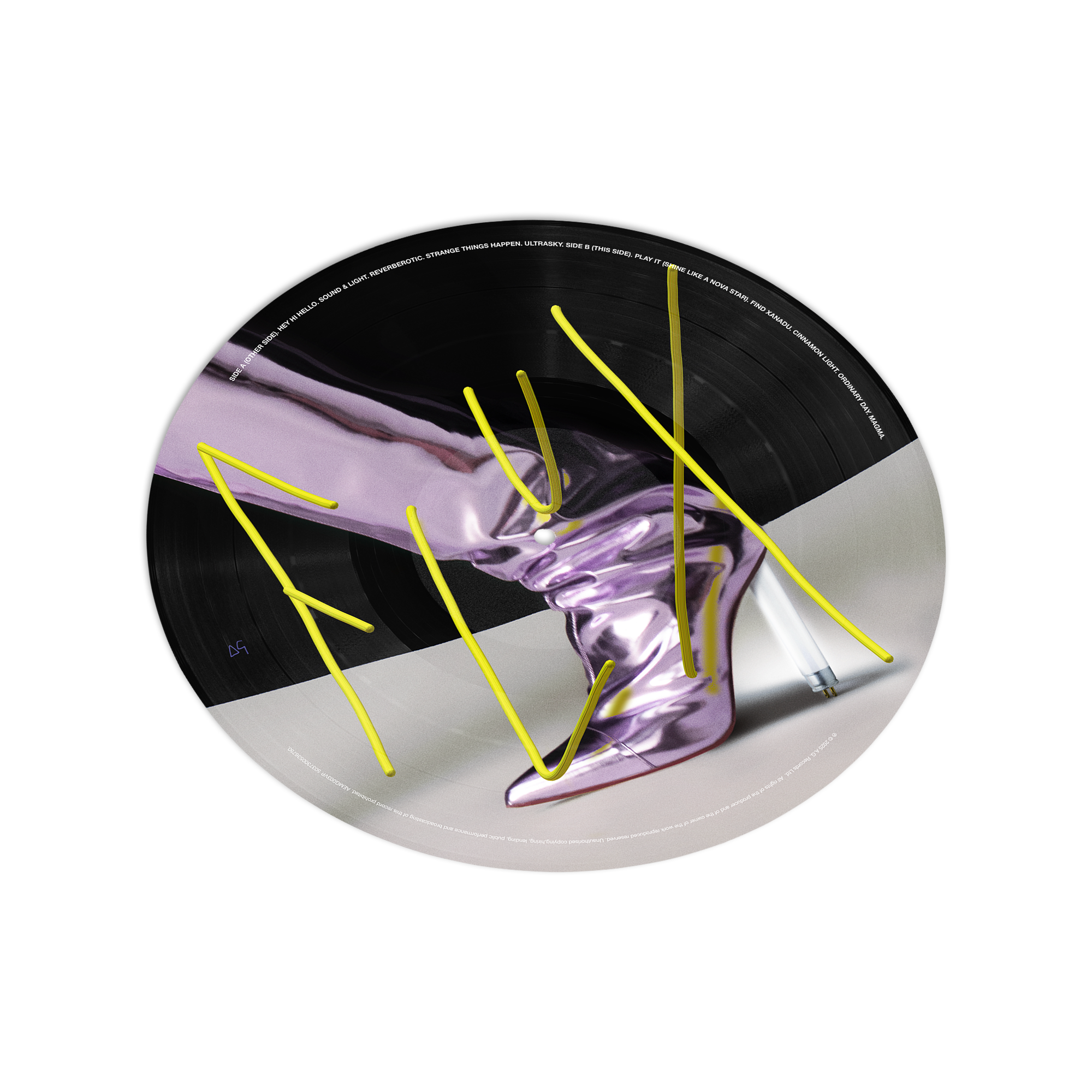 PictureDiscBack(3D).png