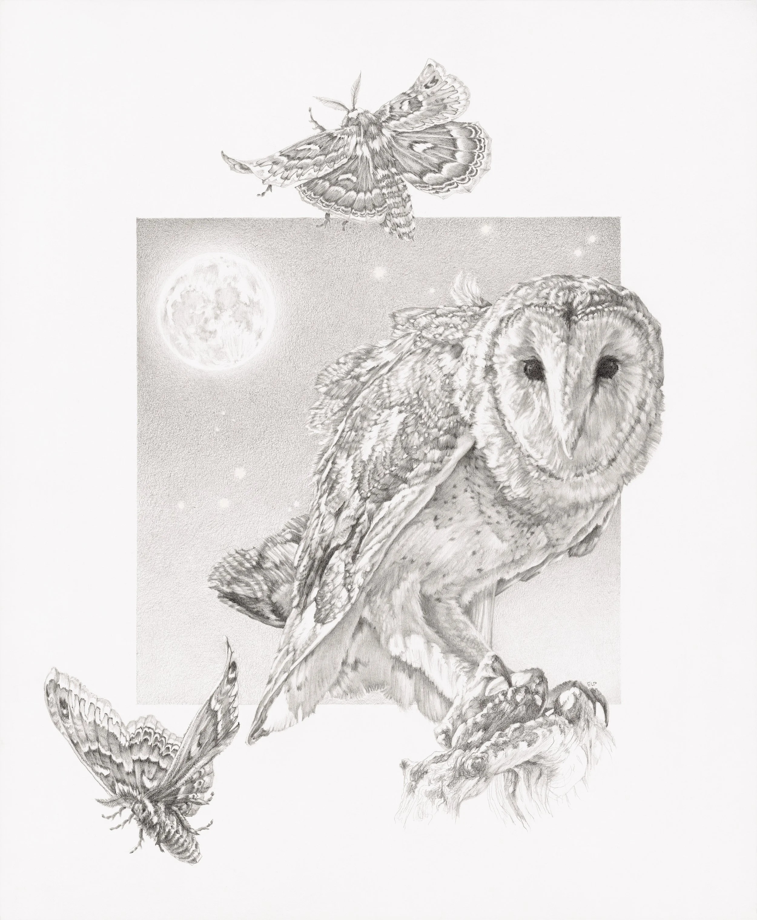 Night Call 14x17_hires.jpg