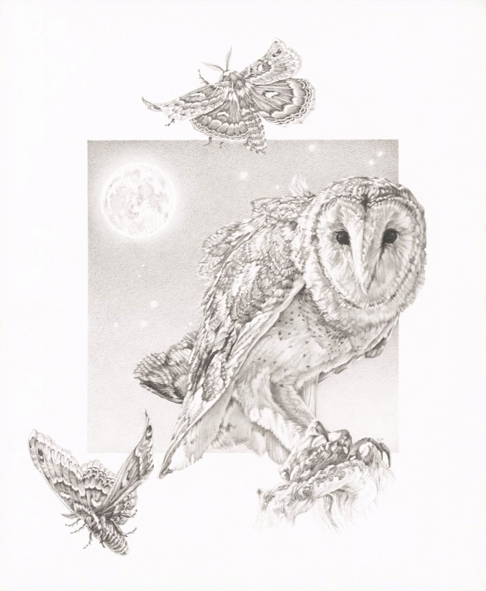 "Night Call" Art Print