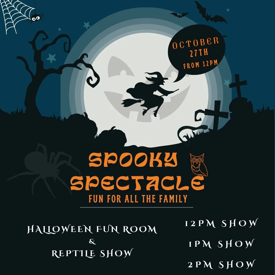 Halloween Spooky Spectacle