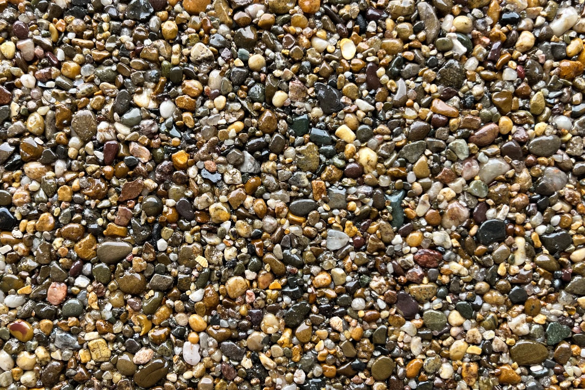 Anchor Bay