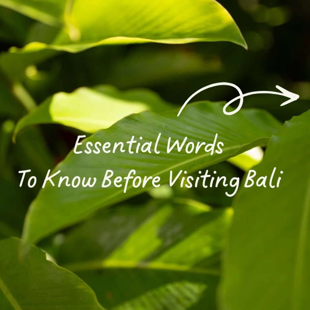 A few words can change the way you experience a country. Save and share this with someone you would take to Bali.