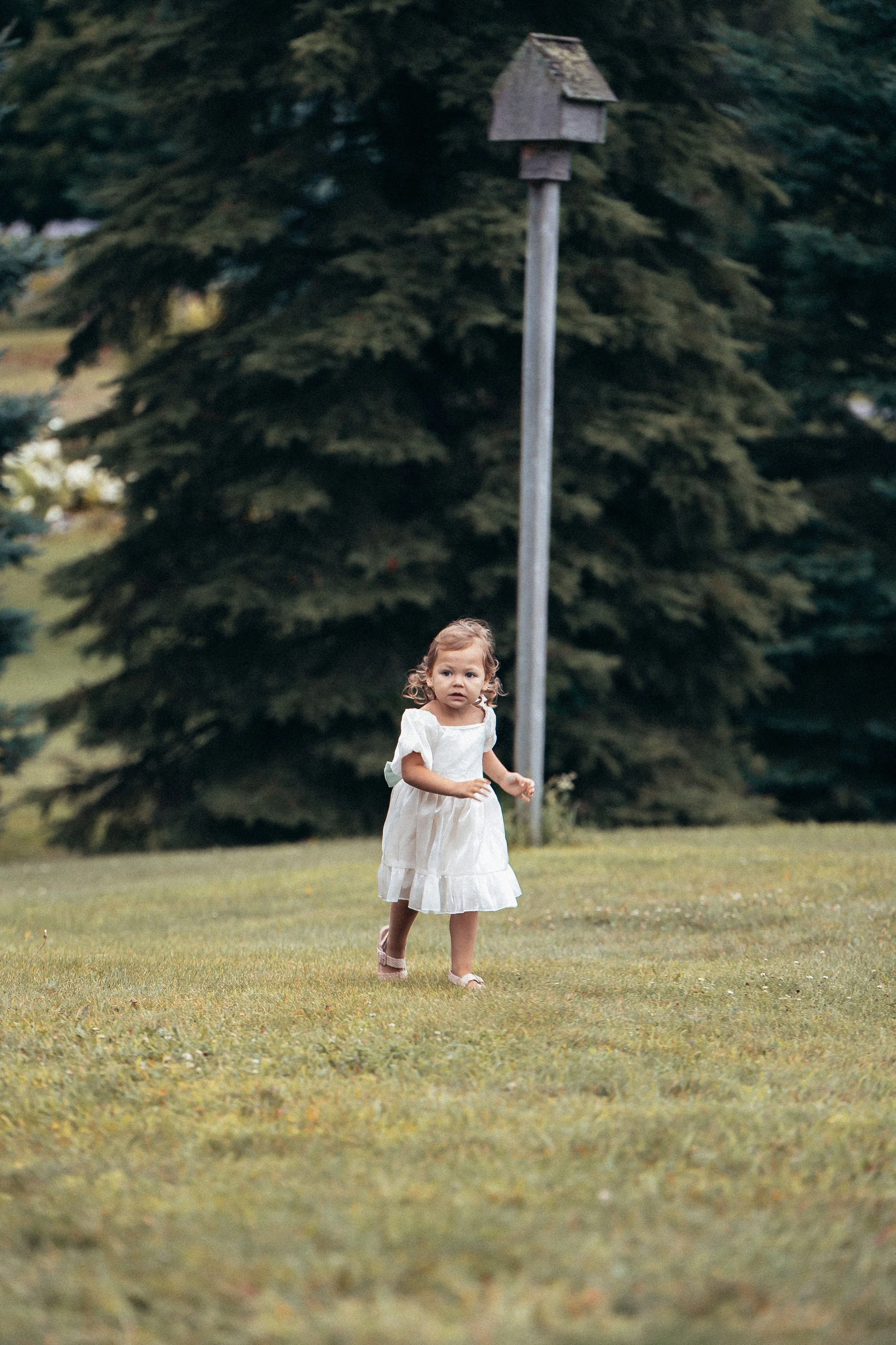 A7404300.jpg
