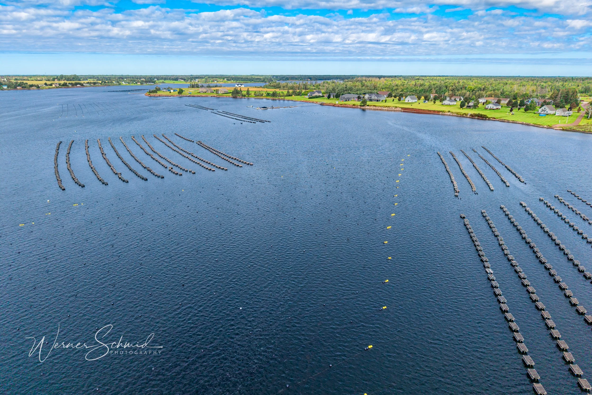 DJI_20260829151332_0027_D.jpg