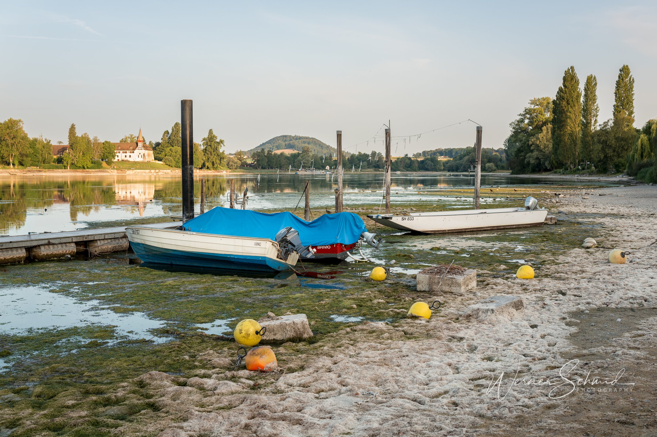 L1000026.jpg