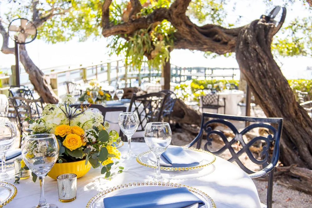 Mar Vista Dockside Restaurant Authentic Florida Dockside Dining & Bar