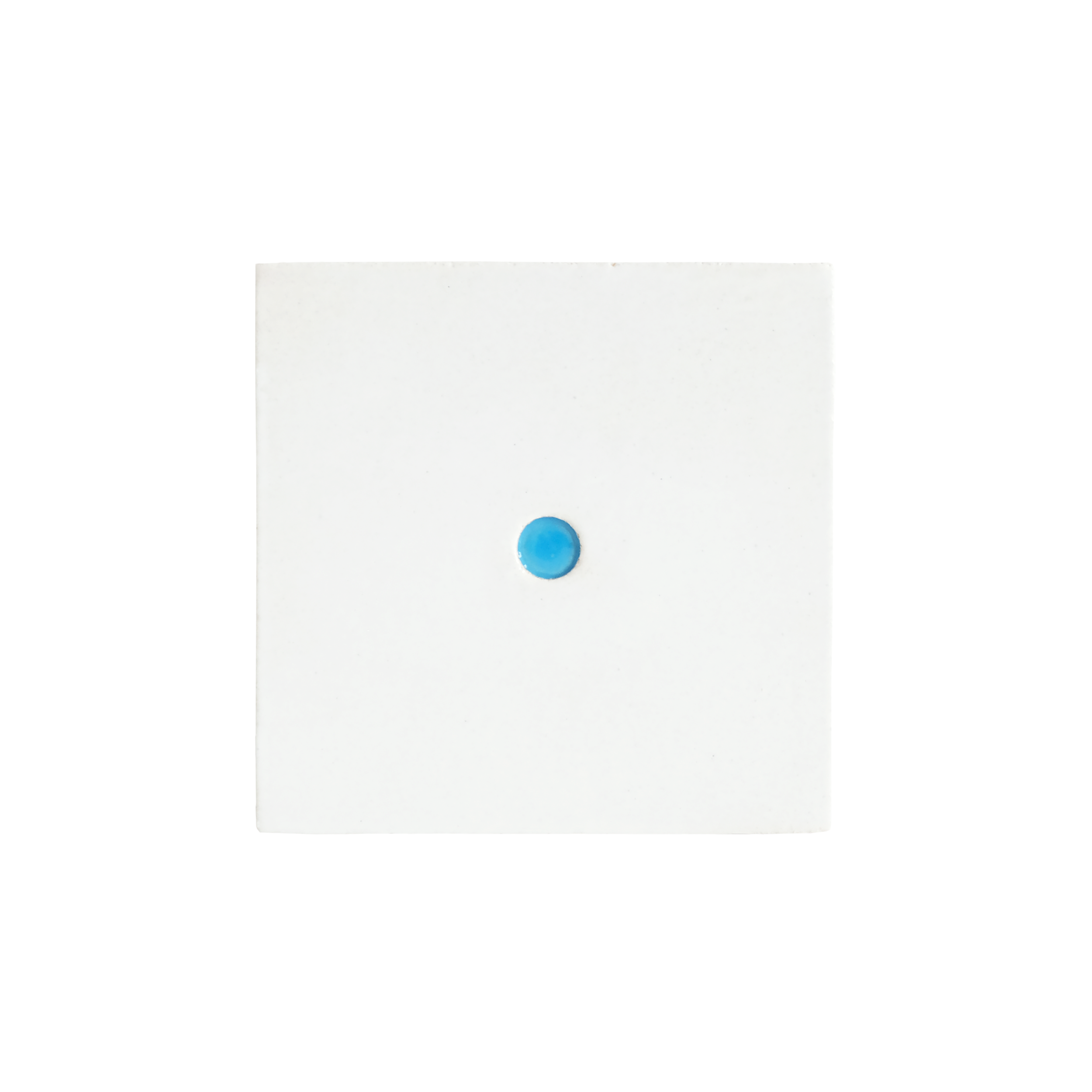 Close-up_10PTS_LIGHT BLUE.png