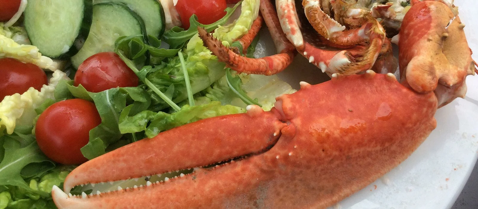 Fresh Seafood in Season, including Lobster and Selsey Crab.jpeg
