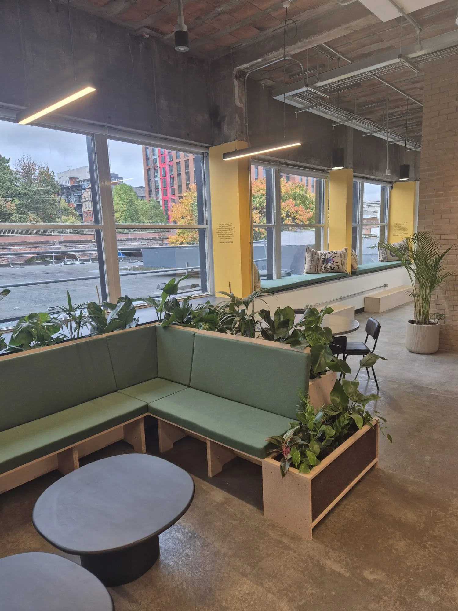 Interior of a modern cafe or lounge with large windows, greenery, a green seating area, small tables, and decorative pillows on a built-in window seat. based in Sustainable Ventures co working space in Manchester, Greater Manchester.