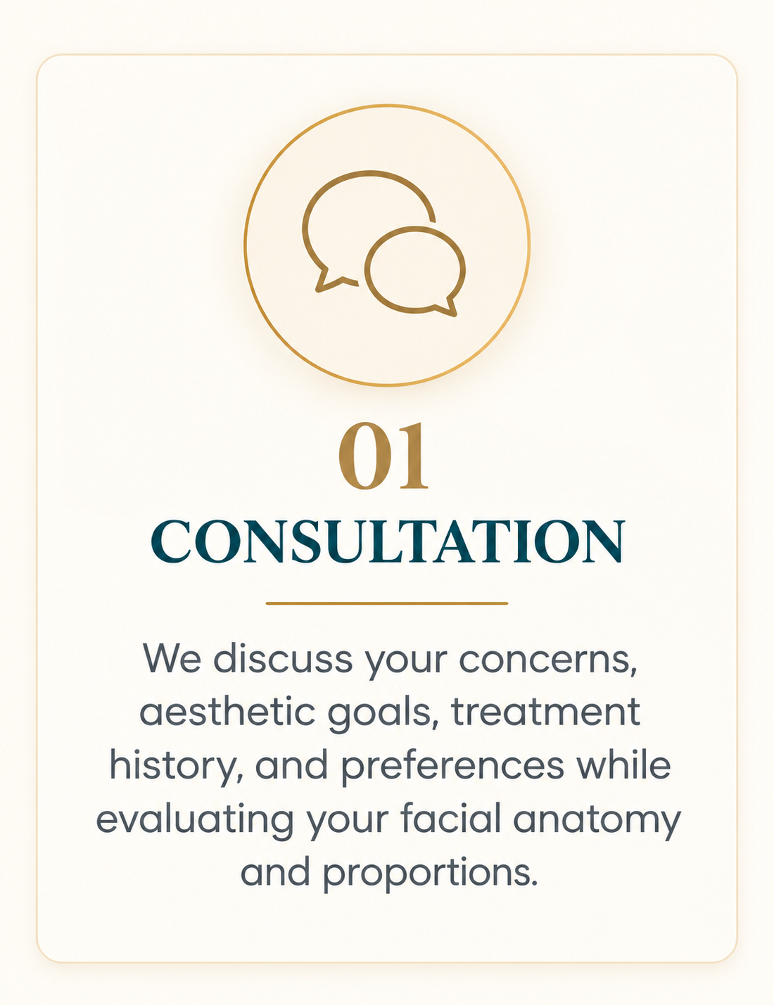 Filler consultation to discuss your concerns, aethestic goals, treatment history and preferences