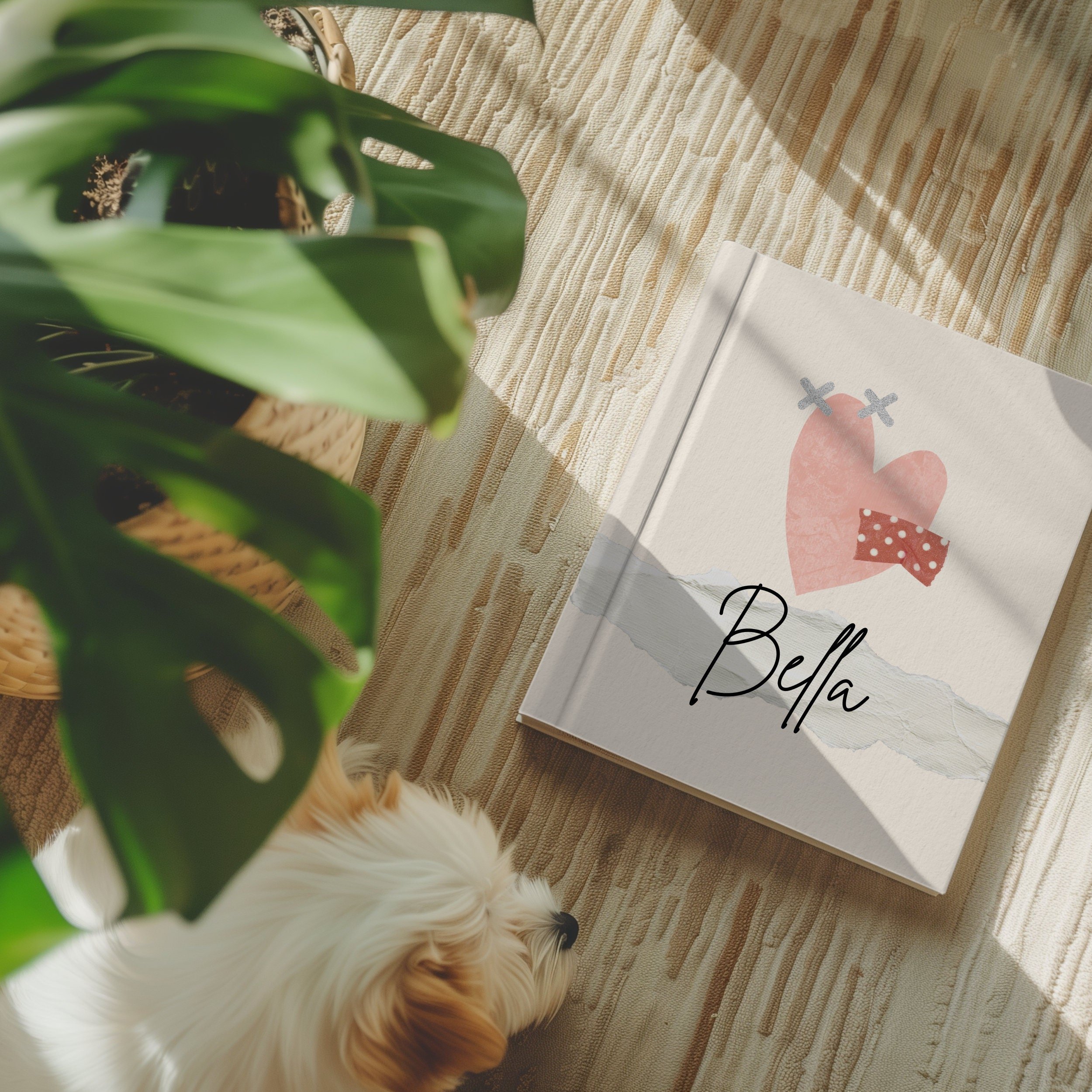 https://i.etsystatic.com/52992913/r/il/53e156/6097462934/il_fullxfull.6097462934_6809.jpg