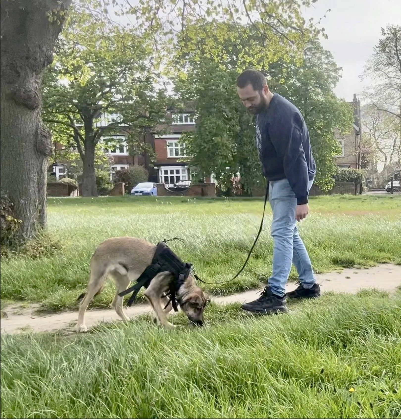 Practising sniff walks during a Walking Stars loose lead walking training session with Puppy Life