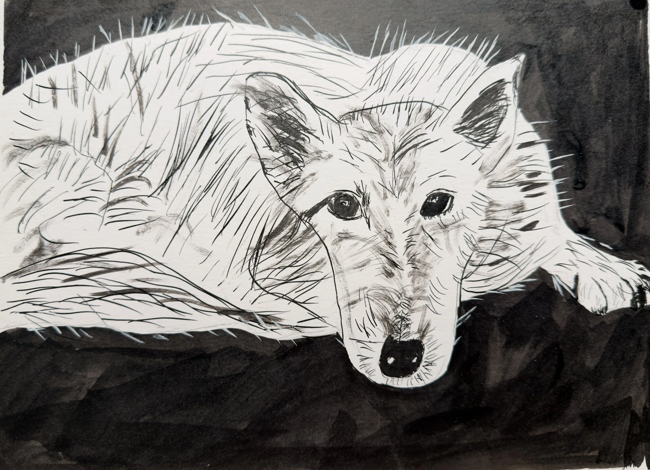 RESCUE | INKTOBER
