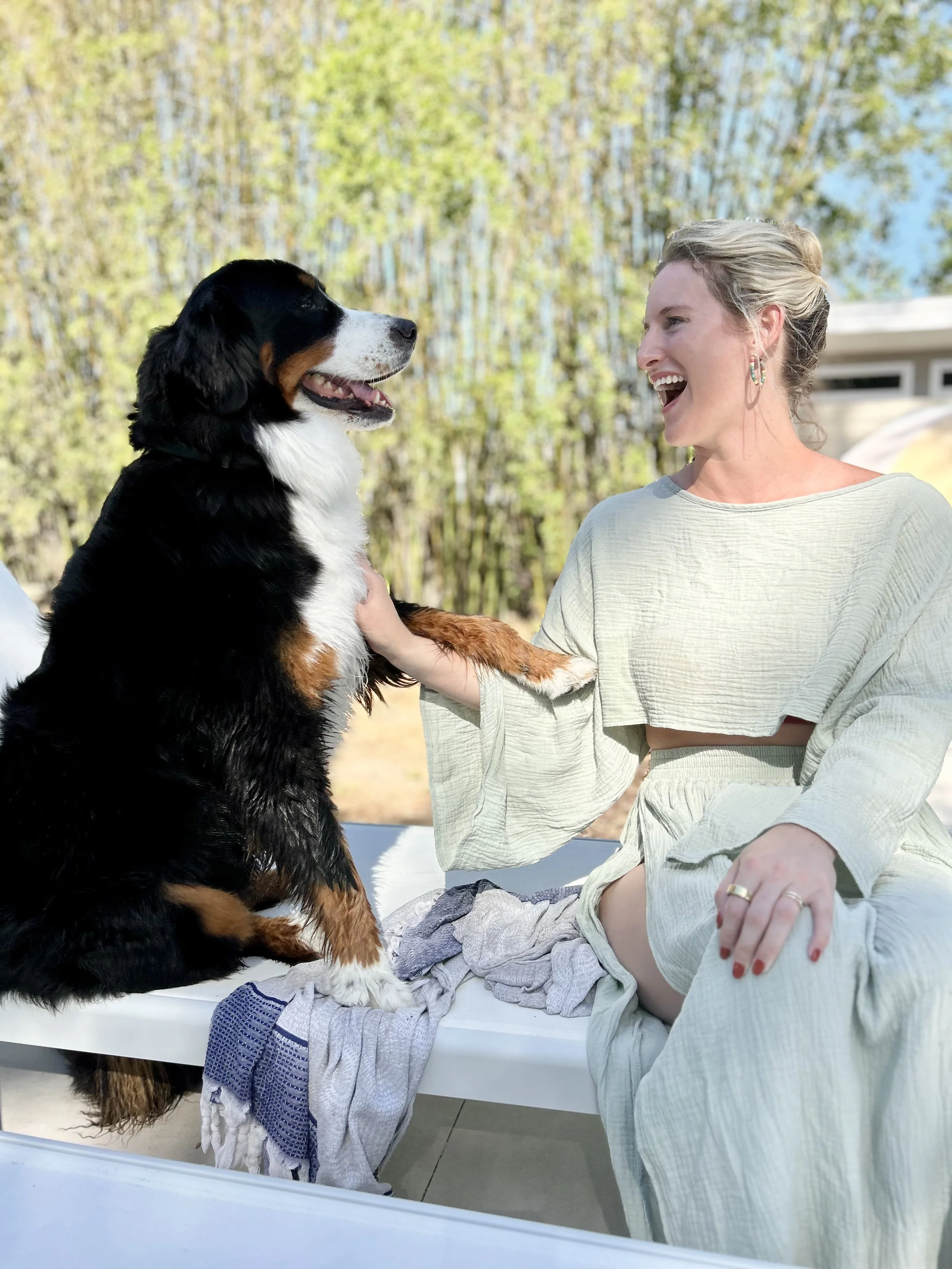 The Soul Connection | Live Zoom Animal Communication Session