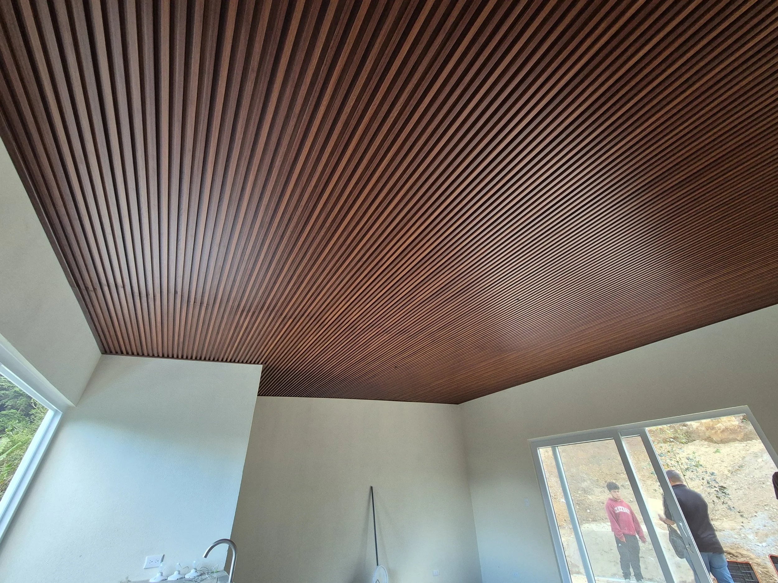 Imagen de WhatsApp 2024-12-05 a las 17.51.44_980d1d2e.jpg