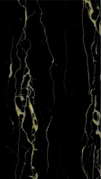 WhatsApp Image 2025-07-07 at 11.26.32 AM (2).jpeg