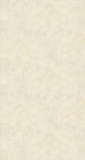 WhatsApp Image 2025-07-07 at 11.27.11 AM.jpeg