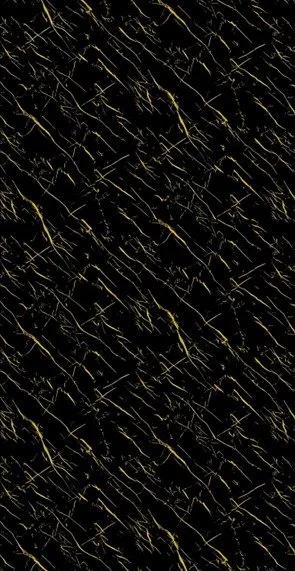 WhatsApp Image 2025-07-07 at 11.26.35 AM (7).jpeg