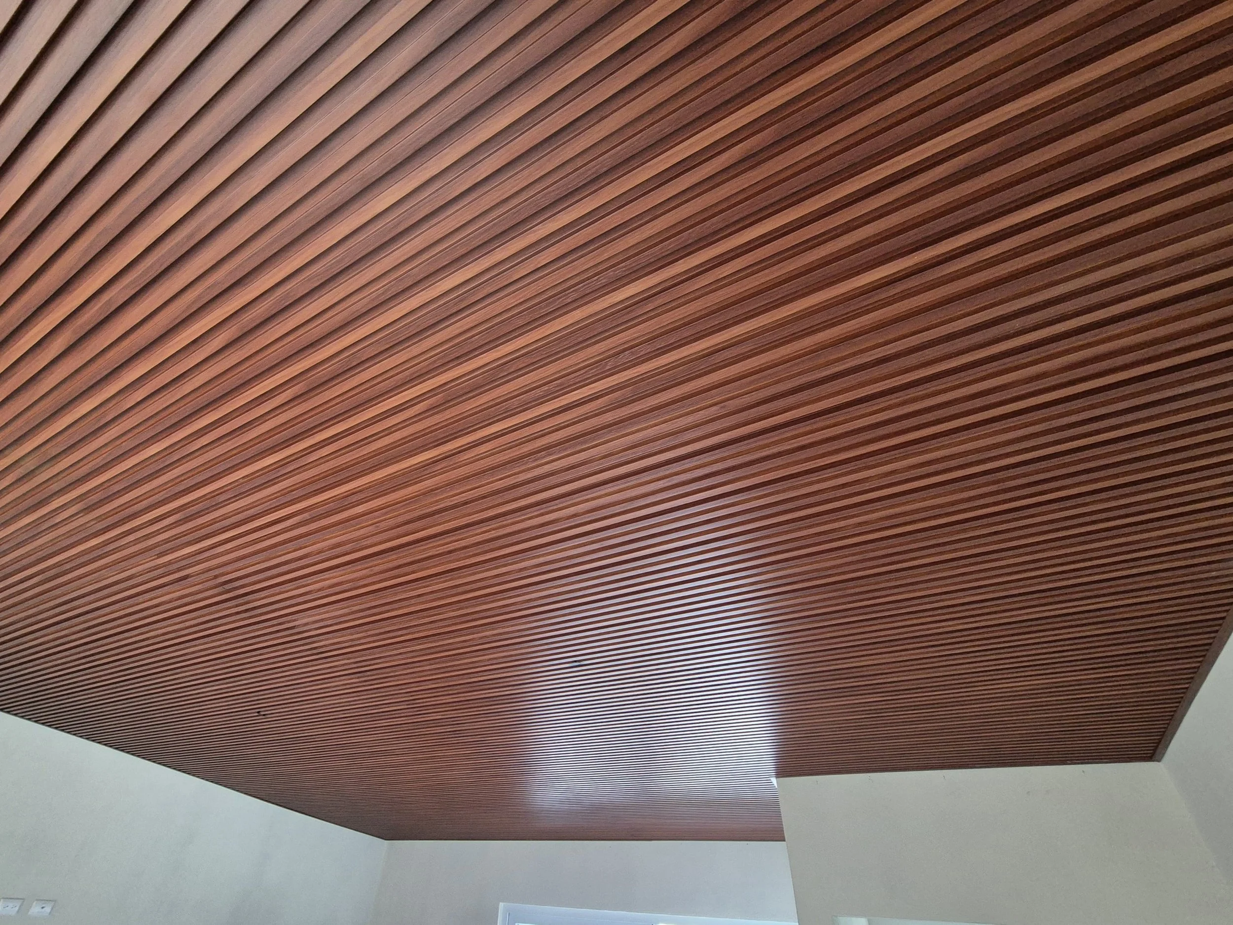 Imagen de WhatsApp 2024-12-05 a las 17.51.44_7dbf7b94.jpg