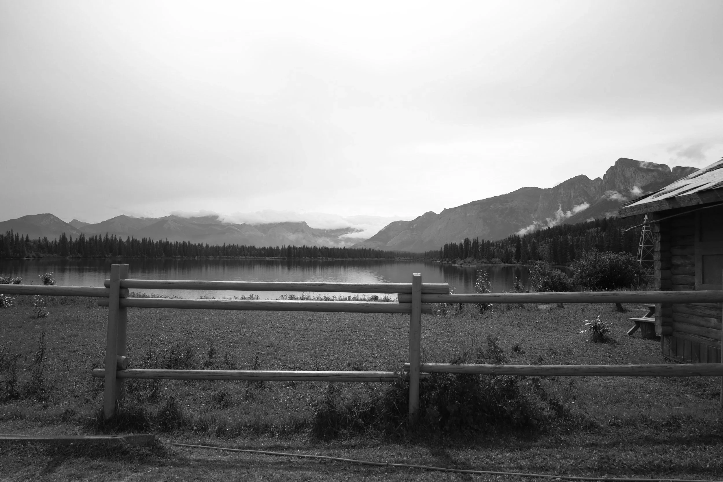 IMG_3287.jpg