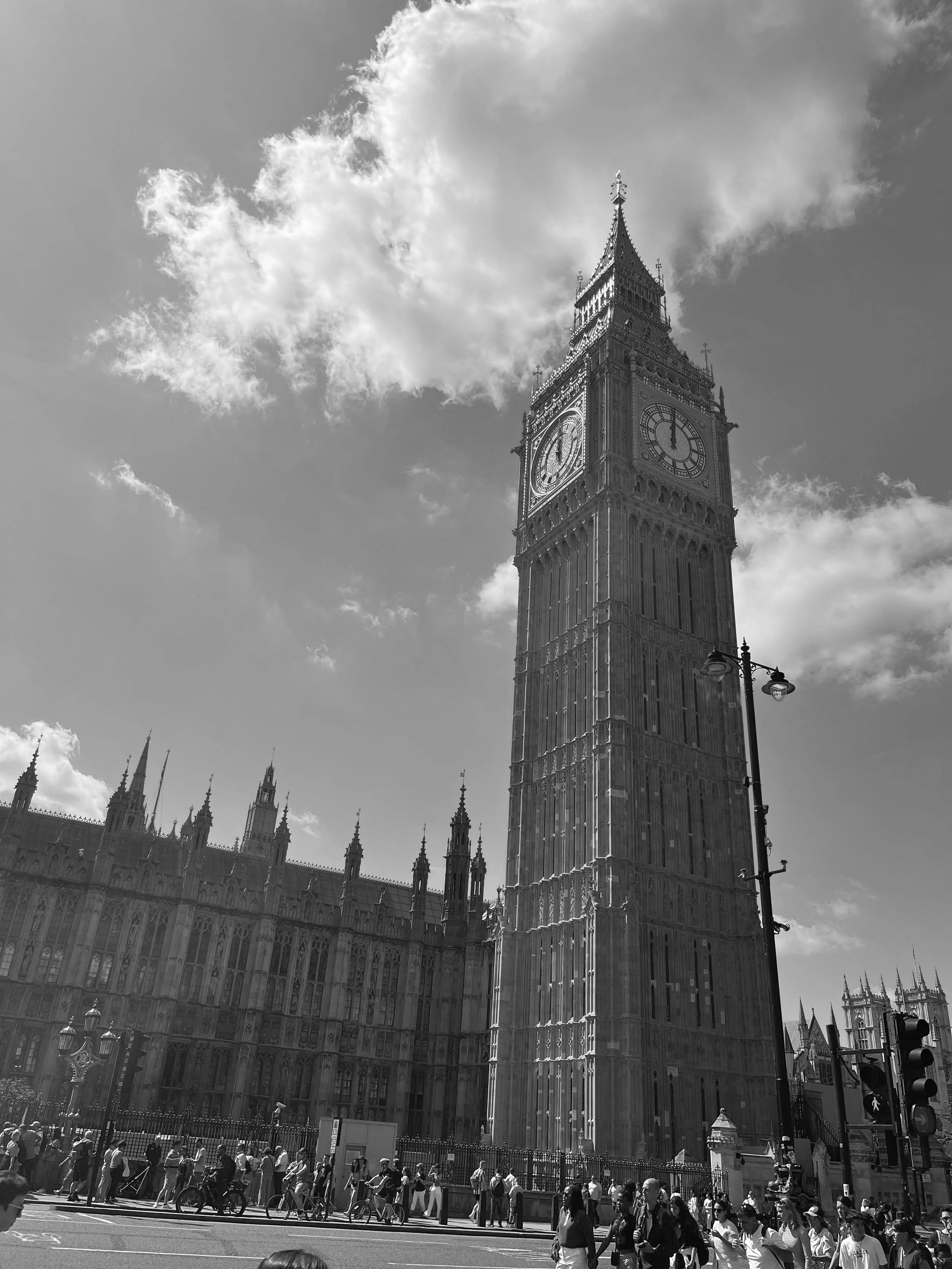 IMG_6647.jpg