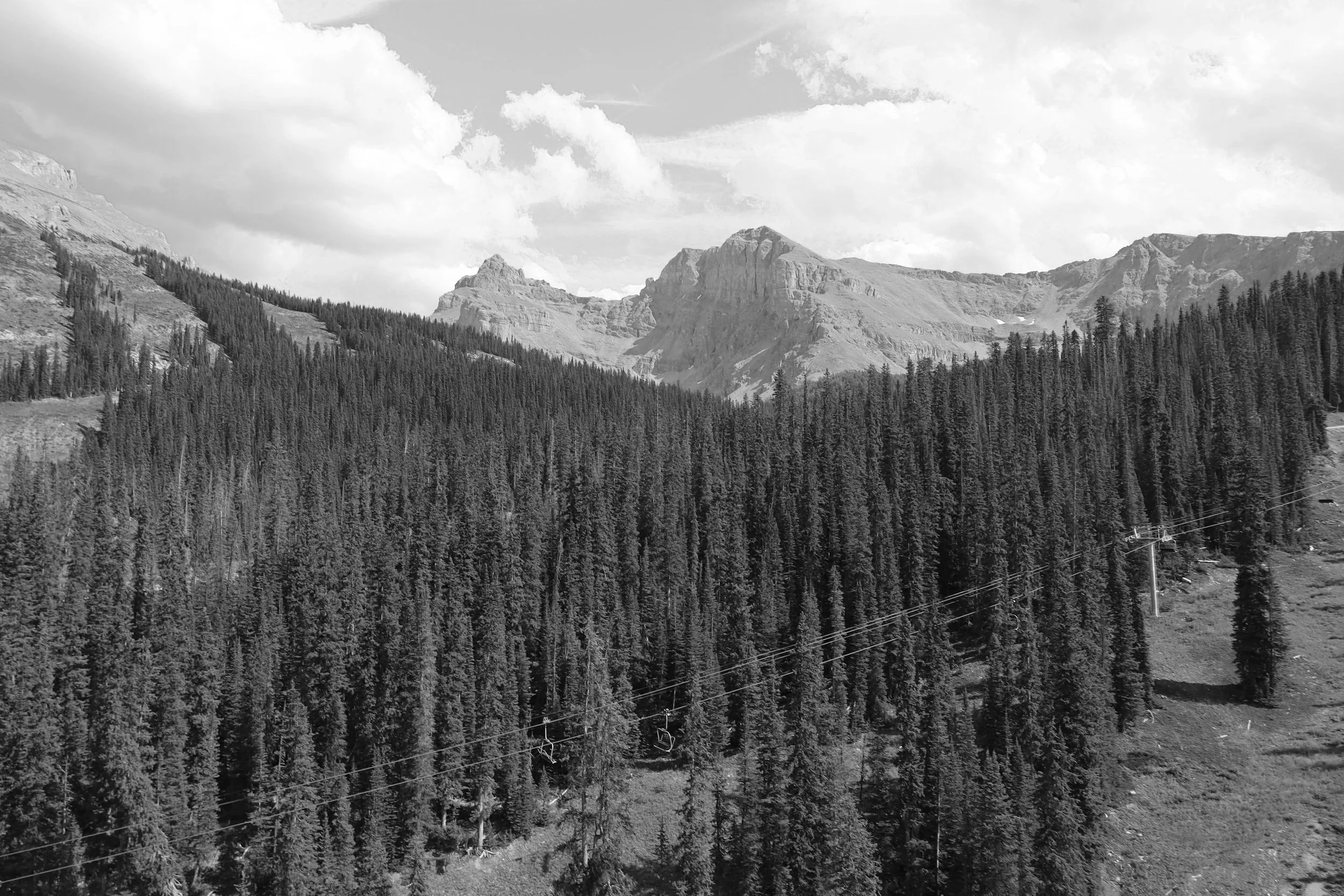 IMG_2974.jpg
